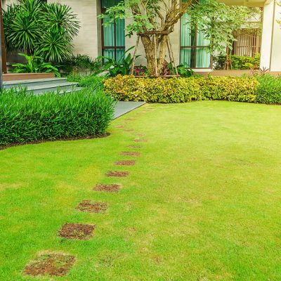 Modern-Front-Yard-Landscaping-Ideas