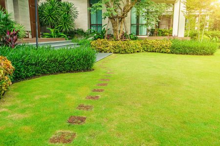 Modern-Front-Yard-Landscaping-Ideas